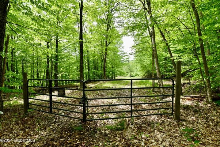430 Lake Desolation Road, Greenfield, NY, photo 2