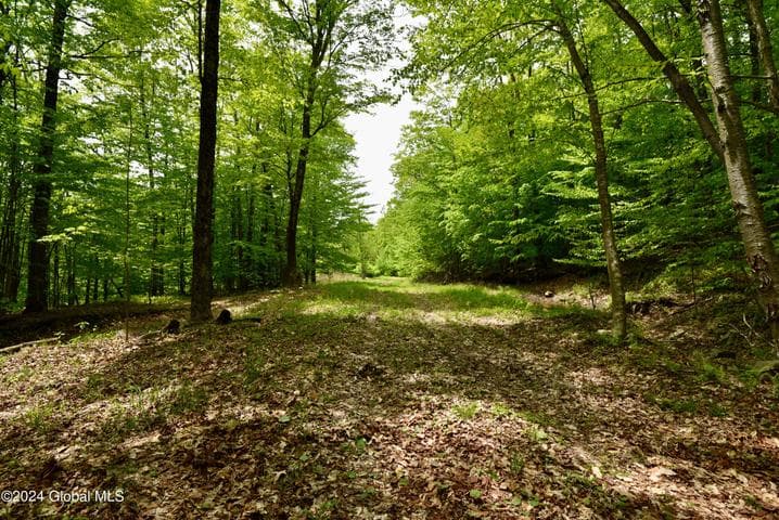 430 Lake Desolation Road, Greenfield, NY, photo 3