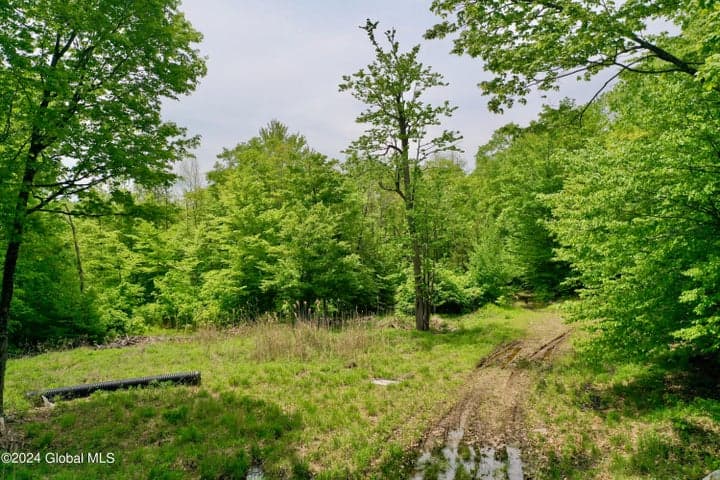 430 Lake Desolation Road, Greenfield, NY, photo 4