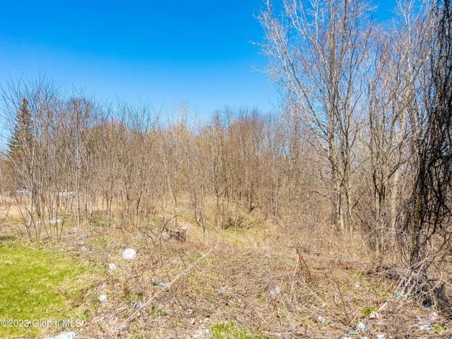 957 Troy-Schenectady Road, Latham, NY, photo 4