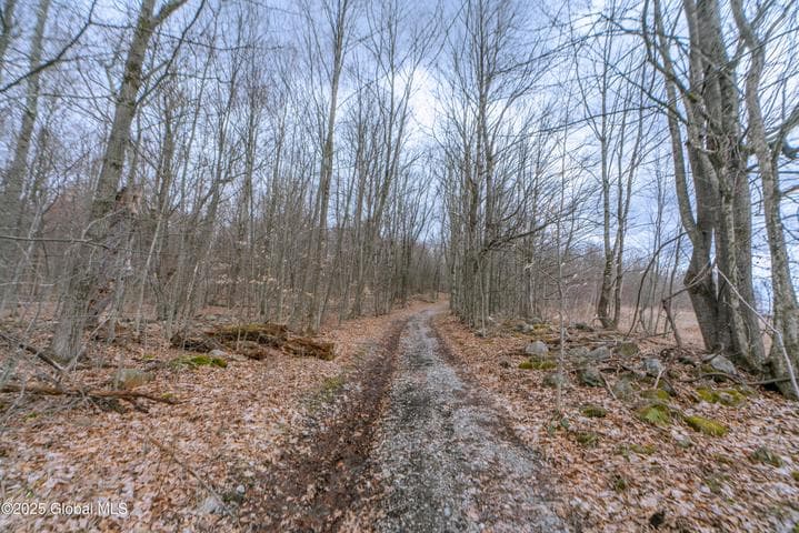 52 Oak hill Road, Granville, NY, photo 4