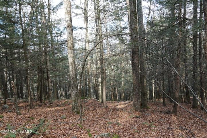 L15.2 Mount Eden Estates Road, Lexington, NY, photo 5