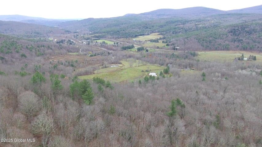 L15.2 Mount Eden Estates Road, Lexington, NY, photo 3