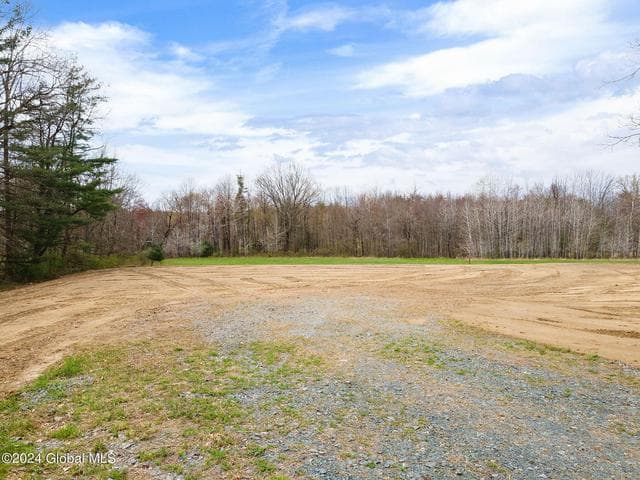 181 Springer Road, Sand Lake, NY, photo 3