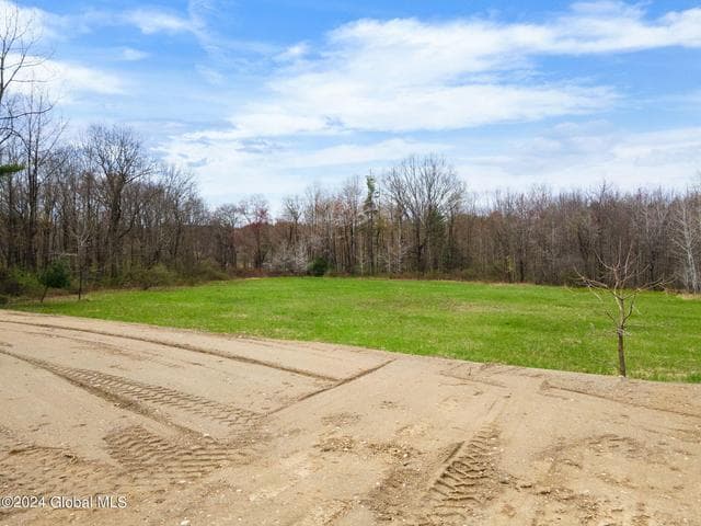 181 Springer Road, Sand Lake, NY, photo 4