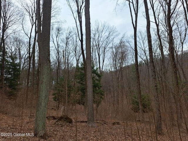 851 Bald Mountain Road, Greenwich, NY, photo 4