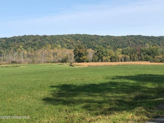 L1 Rathbunville Lane, Fort Ann, NY, photo 5