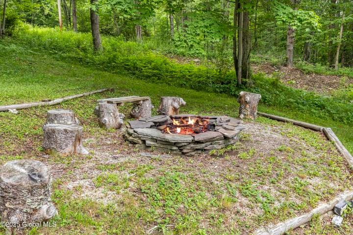 117 Kleis Road, Fleischmanns, NY, photo 5