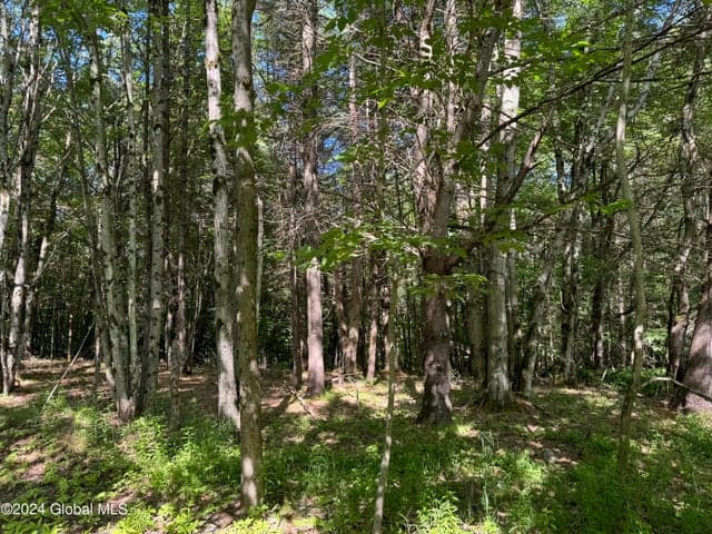 564 Valley Woods Road, Bolton, NY, photo 3