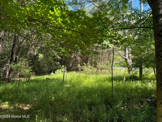 564 Valley Woods Road, Bolton, NY, photo 4