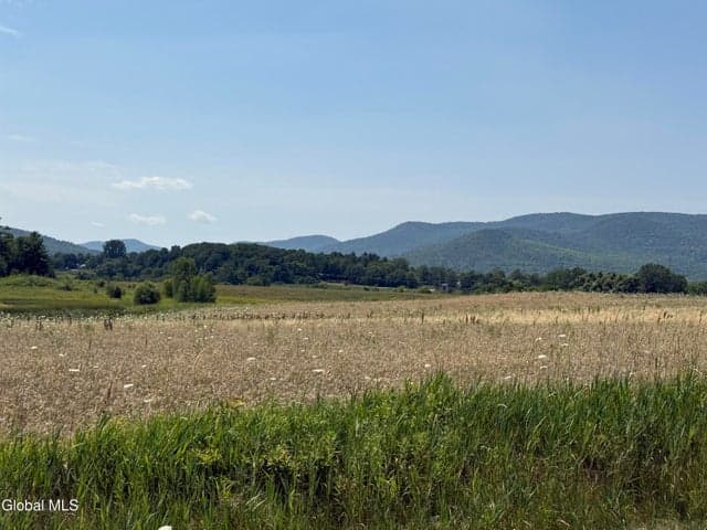 L19.111 Delano Road, Ticonderoga, NY, photo 4
