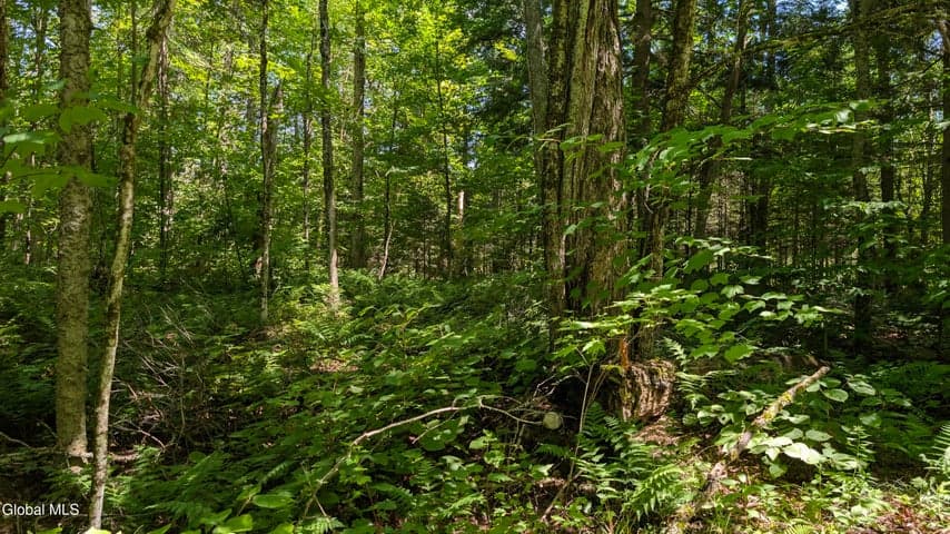 10279 Adirondack Trail, Malone, NY, photo 4