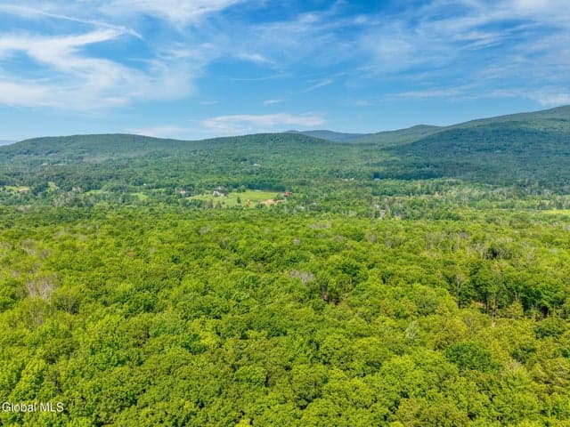 TBD Boulder Brook Road #Lot 8, Windham, NY, photo 4