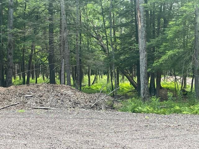 TBD Boulder Brook Road #Lot 8, Windham, NY, photo 5