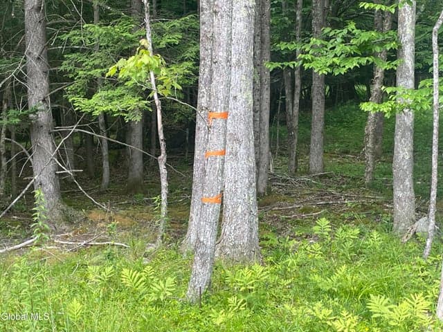 TBD Boulder Brook Road #Lot # 10, Windham, NY, photo 4