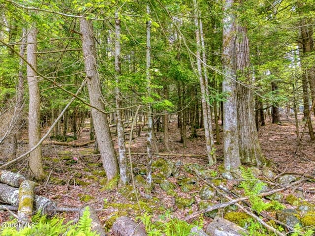 TBD Boulder Brook Road #Lot # 10, Windham, NY, photo 3