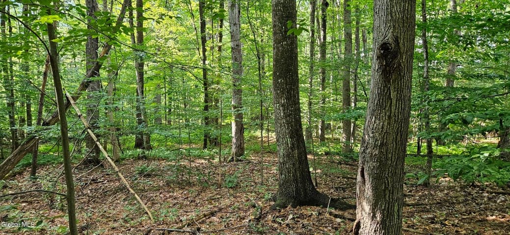 L68.3 Bumphill Road, Greenfield, NY, photo 2