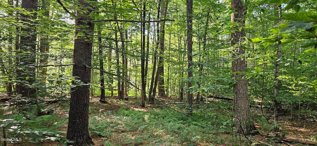 L68.3 Bumphill Road, Greenfield, NY, photo 3