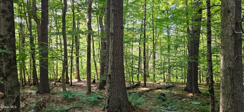 L68.3 Bumphill Road, Greenfield, NY, photo 4