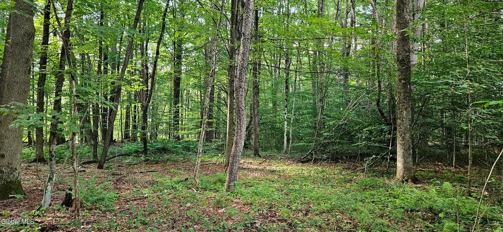 L68.3 Bumphill Road, Greenfield, NY, photo 5
