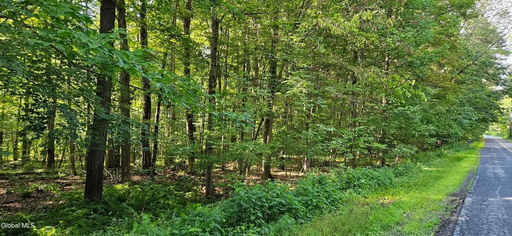 L68.3 Bumphill Road, Greenfield, NY, photo 1