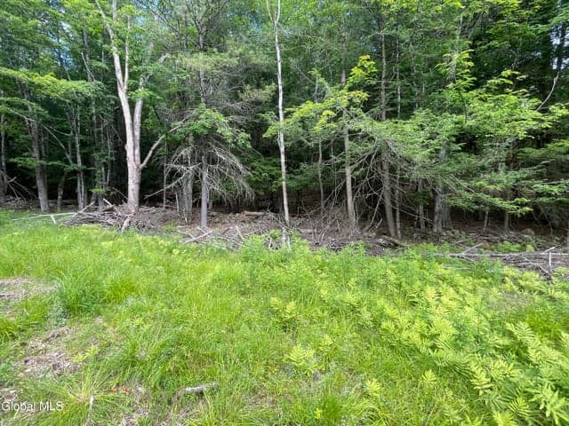 L37 Boulder Brook Road #Lot # 13, Windham, NY, photo 4