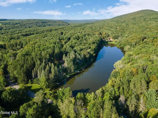 106 Earles Lane, Gilboa, NY, photo 2