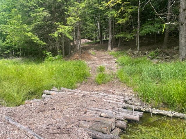 L36 Boulder Brook Road #Lot # 12, Windham, NY, photo 3