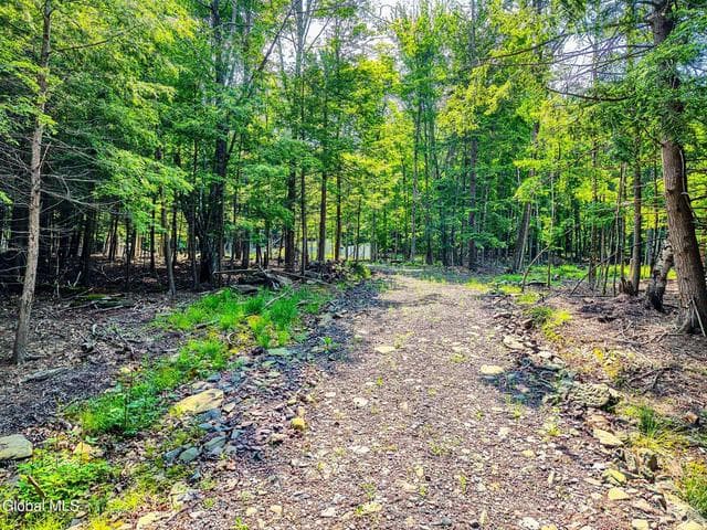 L35-38 Boulder Brook Road #Lots 35-38, Windham, NY, photo 5