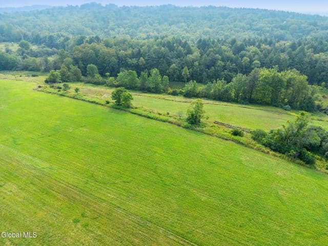 L7.110 County Route 402, Westerlo, NY, photo 3