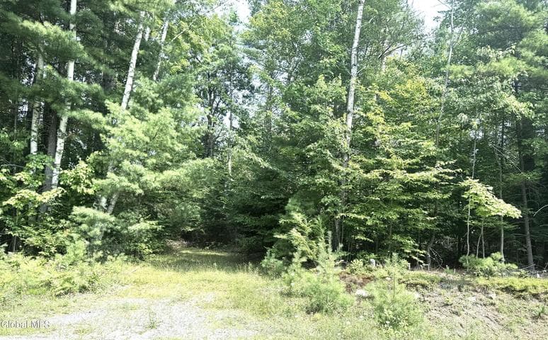 L21 County Route 11, Bolton, NY, photo 1