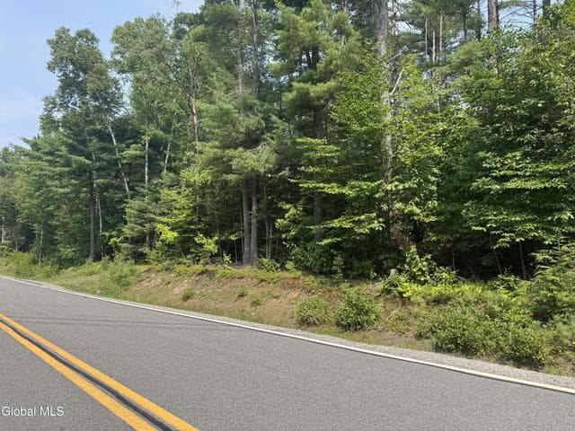 L21 County Route 11, Bolton, NY, photo 2