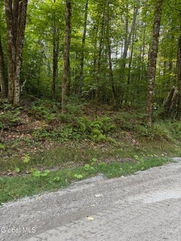 362 Dickinson Hill Road, Bolton, NY, photo 2