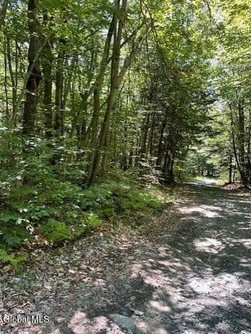L 11 Horse Hill Rd. Rear Road, Edinburg, NY, photo 4