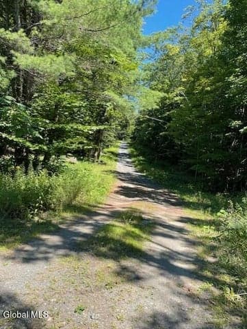 L 11 Horse Hill Rd. Rear Road, Edinburg, NY, photo 2