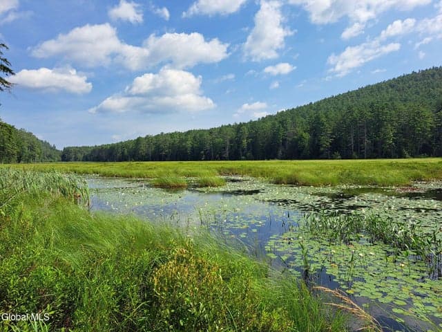 L 15.1 NY-28, Warrensburg, NY, photo 1