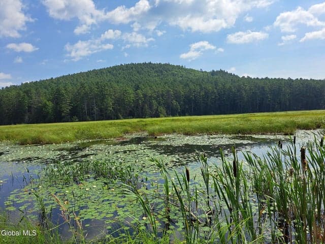 L 15.1 NY-28, Warrensburg, NY, photo 2