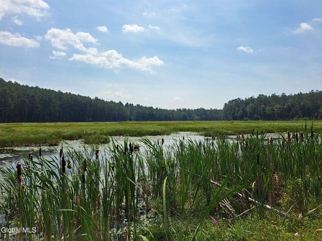 L 15.1 NY-28, Warrensburg, NY, photo 3