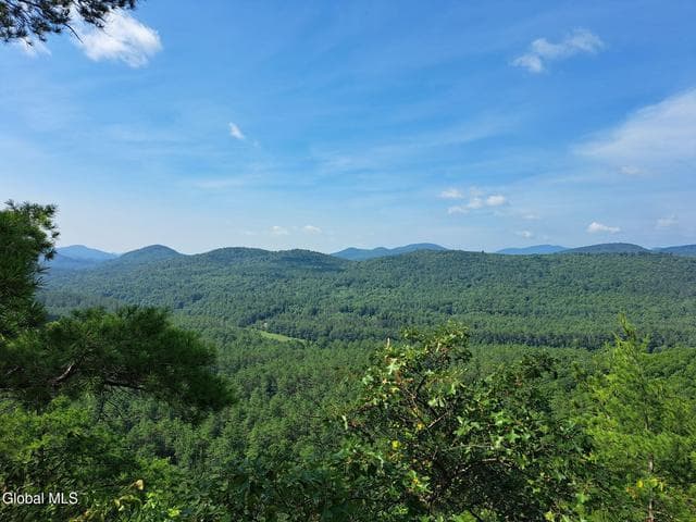 L 15.1 NY-28, Warrensburg, NY, photo 4