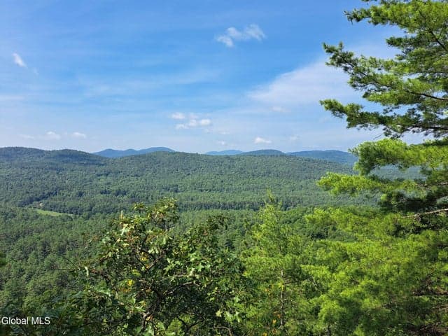 L 15.1 NY-28, Warrensburg, NY, photo 5