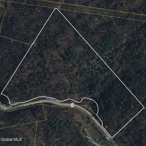 2786 State Route 80, Stark, NY, photo 4