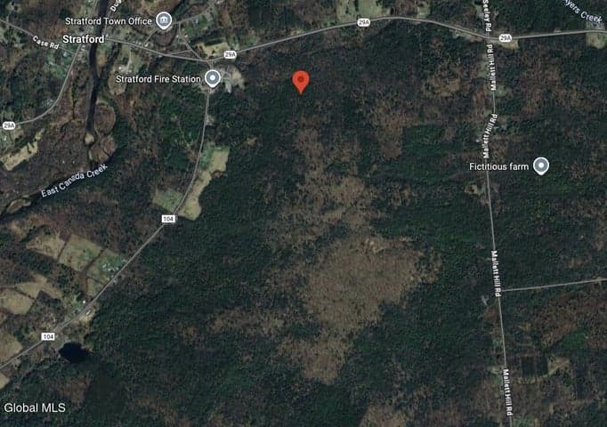 L13 State Highway 29A, Stratford, NY, photo 1