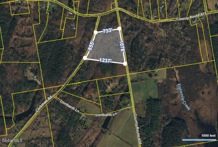 L3.22 Clickman Road, Westerlo, NY, photo 1