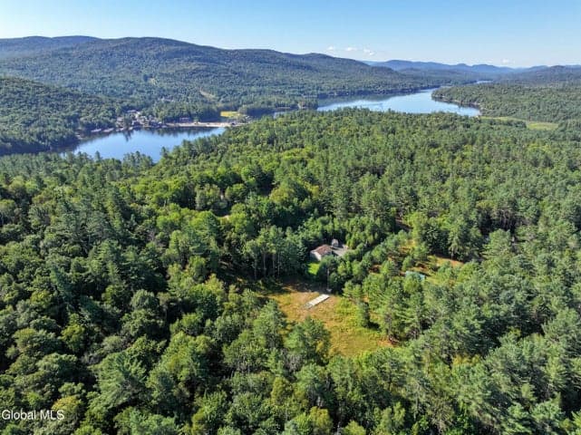 L39 Off Flowers Way, Long Lake, NY, photo 3