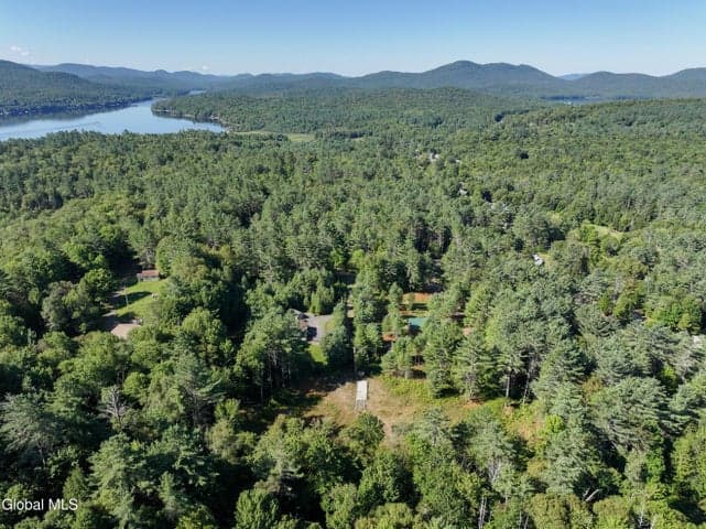 L39 Off Flowers Way, Long Lake, NY, photo 4