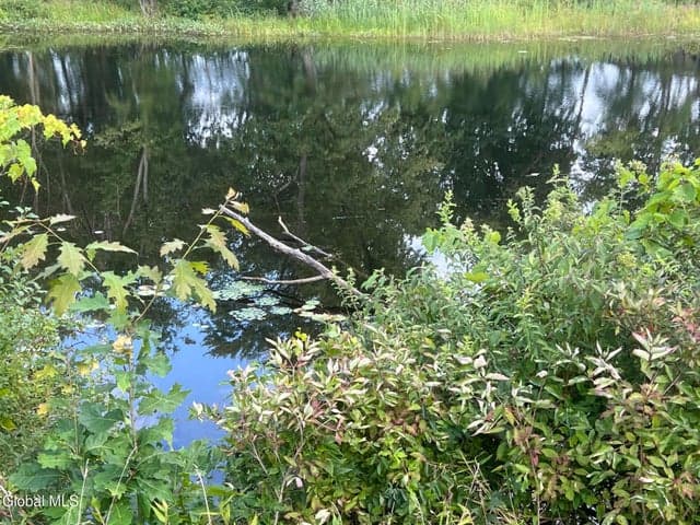 1435 W River Road, Northumberland, NY, photo 3