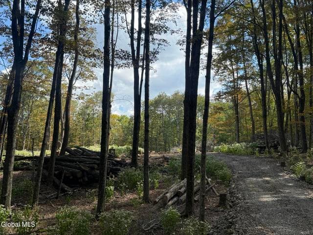 L3.22 Clickman Road, Westerlo, NY, photo 5