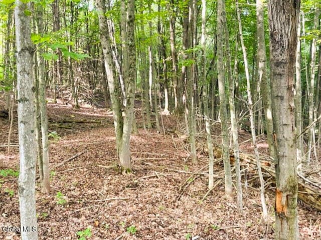 L12.3 Humphrey Road, Fultonville, NY, photo 2