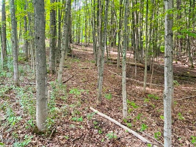 L12.3 Humphrey Road, Fultonville, NY, photo 3