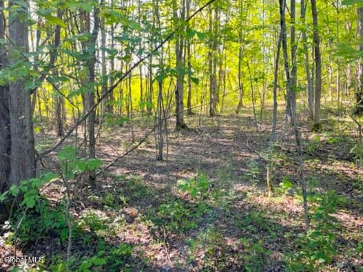 L12.3 Humphrey Road, Fultonville, NY, photo 4
